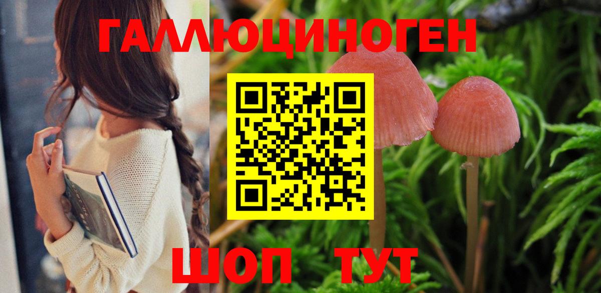 Псилоцибиновые грибы GOLDEN TEACHER Железноводск